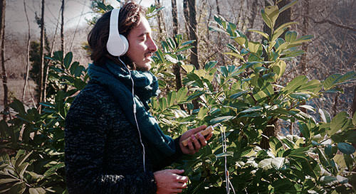 bamboo1-500 bamboo1-500